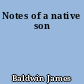 Notes of a native son