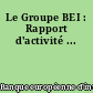 Le Groupe BEI : Rapport d'activité ...