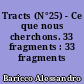 Tracts (N°25) - Ce que nous cherchons. 33 fragments : 33 fragments