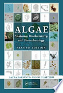 Algae : anatomy, biochemistry and biotechnology