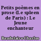 Petits poèmes en prose (Le spleen de Paris) : Le Jeune enchanteur