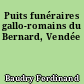 Puits funéraires gallo-romains du Bernard, Vendée