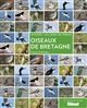 Oiseaux de Bretagne : un guide + un carnet de terrain