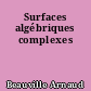 Surfaces algébriques complexes