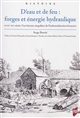 D'eau et de feu : forges et énergie hydraulique : XVIIIe-XXe siècle, une histoire singulière de l'industrialisation française