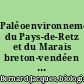 Paléoenvironnement du Pays-de-Retz et du Marais breton-vendéen : Tome I : texte
