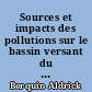 Sources et impacts des pollutions sur le bassin versant du Galion en Martinique