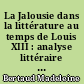 La Jalousie dans la littérature au temps de Louis XIII : analyse littéraire et histoire des mentalités