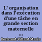 L' organisation dans l'exécution d'une tâche en grande section maternelle comme prédicteur des compétences en compréhension en CE2 : Bertrand-Villard