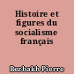 Histoire et figures du socialisme français