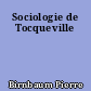 Sociologie de Tocqueville