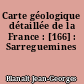 Carte géologique détaillée de la France : [166] : Sarreguemines
