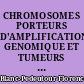CHROMOSOMES PORTEURS D'AMPLIFICATION GENOMIQUE ET TUMEURS SOLIDES HUMAINES