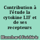 Contribution à l'étude la cytokine LIF et de ses recepteurs