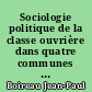 Sociologie politique de la classe ouvrière dans quatre communes de Loire-Atlantique