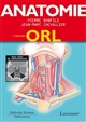 Anatomie : [3] : ORL