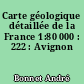Carte géologique détaillée de la France 1:80 000 : 222 : Avignon