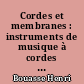 Cordes et membranes : instruments de musique à cordes et à membranes