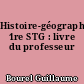 Histoire-géographie, 1re STG : livre du professeur