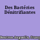 Des Bactéries Dénitrifiantes