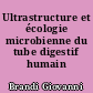 Ultrastructure et écologie microbienne du tube digestif humain