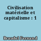 Civilisation matérielle et capitalisme : 1