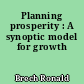 Planning prosperity : A synoptic model for growth