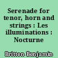 Serenade for tenor, horn and strings : Les illuminations : Nocturne