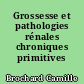 Grossesse et pathologies rénales chroniques primitives
