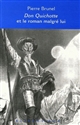 Don Quichotte et le roman malgré lui : Cervantès, Lesage, Sterne, Thomas Mann, Calvino