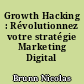 Growth Hacking : Révolutionnez votre stratégie Marketing Digital