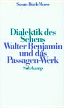 Dialektik des Sehens : Walter Benjamin und das Passagen-Werk