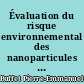 Évaluation du risque environnemental des nanoparticules métalliques : biodisponibilité et risque potentiel pour deux espèces clés des écosystèmes estuariens