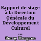 Rapport de stage à la Direction Générale du Développement Culturel de la mairie de Lorient