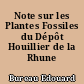 Note sur les Plantes Fossiles du Dépôt Houillier de la Rhune (Basses-Pyrénées)