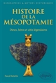 Histoire de la Mésopotamie : dieux, héros et cités légendaires