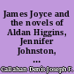 James Joyce and the novels of Aldan Higgins, Jennifer Johnston, John McGahern and Brian Moore