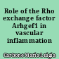 Role of the Rho exchange factor Arhgef1 in vascular inflammation