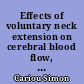 Effects of voluntary neck extension on cerebral blood flow, in breath-hold divers ending an apnoea of two minutes or more