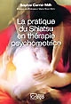 La pratique du Shiatsu en thérapie psychomotrice : témoignage clinique et nouvelles perspectives