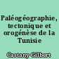 Paléogéographie, tectonique et orogénèse de la Tunisie
