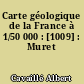 Carte géologique de la France à 1/50 000 : [1009] : Muret
