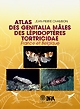 Atlas des genitalia mâles des lépidoptères tortricidae de France et Belgique