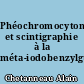 Phéochromocytome et scintigraphie à la méta-iodobenzylguanidine