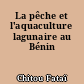 La pêche et l'aquaculture lagunaire au Bénin