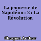 La jeunesse de Napoléon : 2 : La Révolution