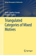 Triangulated categories of mixed motives