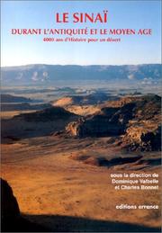Le Sinaï̈ durant l'Antiquité et le Moyen âge : 4000 ans d'histoire pour un désert : actes du colloque "Sinaï" qui s'est tenu à l'UNESCO du 19 au 21 septembre 1997