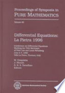 Differential equations, La Pietra 1996