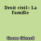 Droit civil : La Famille